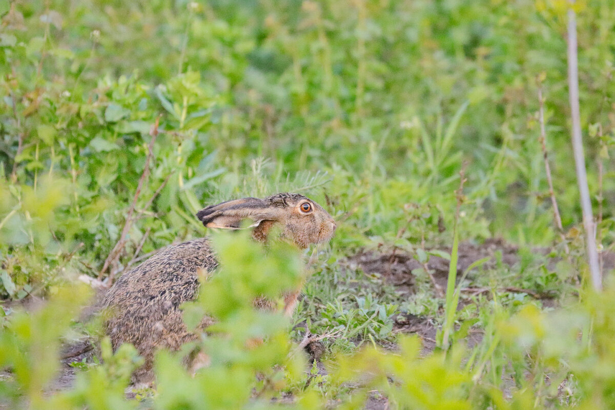 Меня тут нет)))