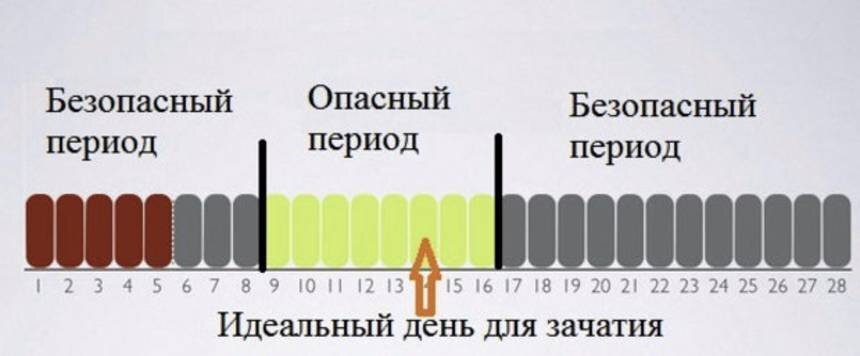 Современные методы контрацепции (доступным языком) - Центр Семейной Медицины в г. Пушкин