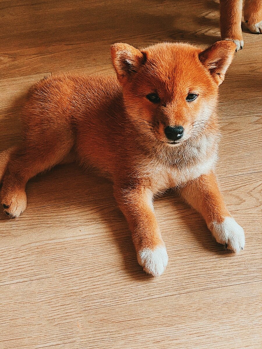 Здесь Минори около 1,5 месяцев.