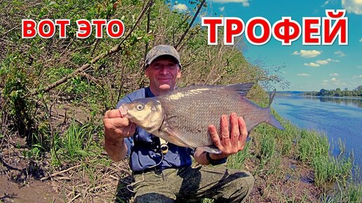 ПОШЁЛ ЛОВИТЬ ПЛОТВУ, А ПОЙМАЛ ЕГО! ПИКЕР и ДОНКА на ОКЕ. Рыбалка на ...