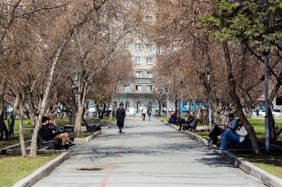    В Новосибирске установили строительную ограду вокруг Первомайского сквера