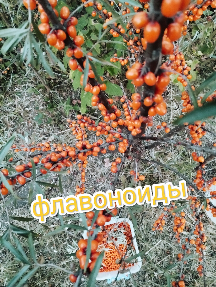 Фотография автора. 