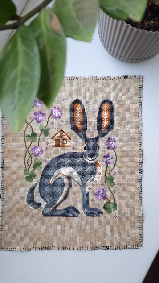 Jackrabbit от Cottage Garden Samplings