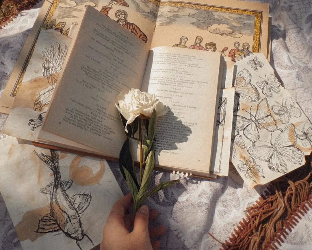 Изображение взято из интернета