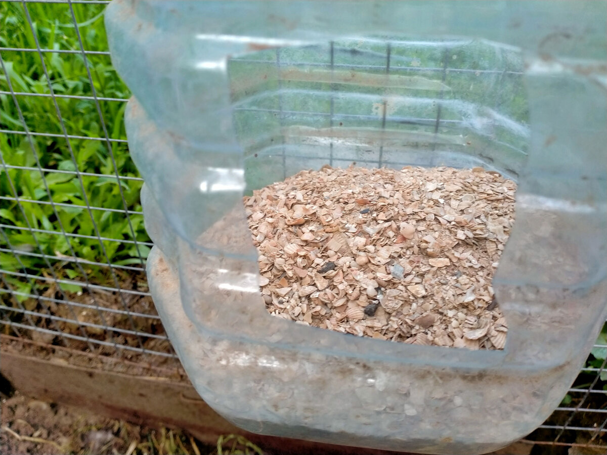 Вот она в кормушке