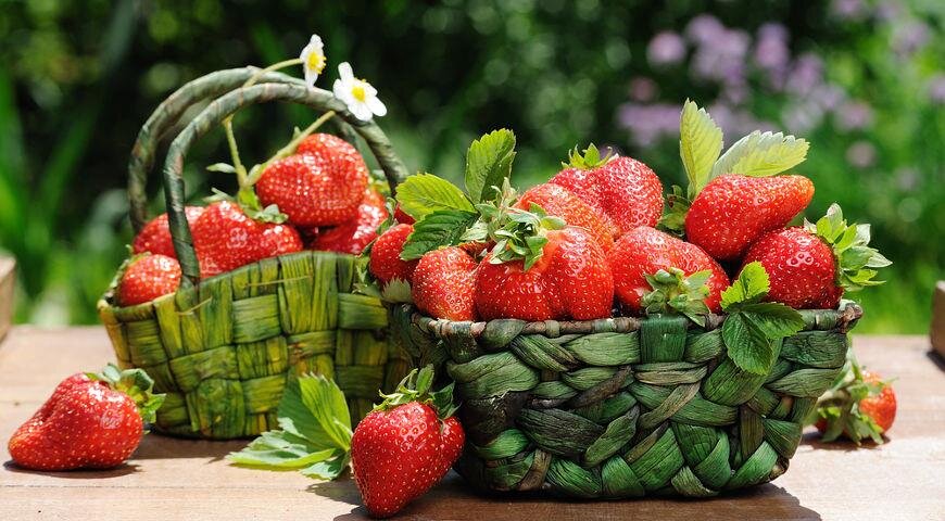 Самая вкусная клубника — та, которую вы вырастили и собрали сами