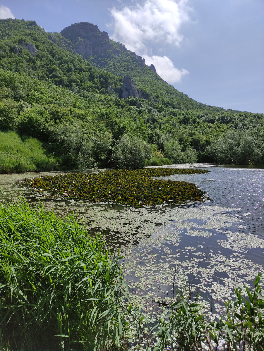 Монастырское озеро (май 2023 года)