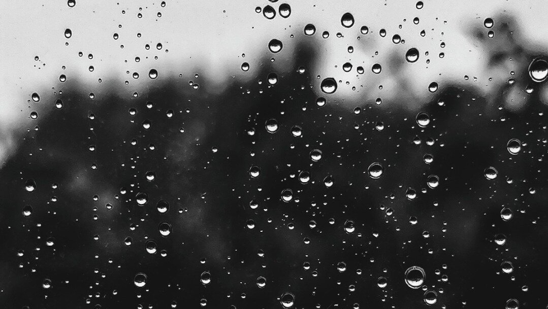     О погодных условиях рассказал глава Предгорного округа Николай Бондаренко.