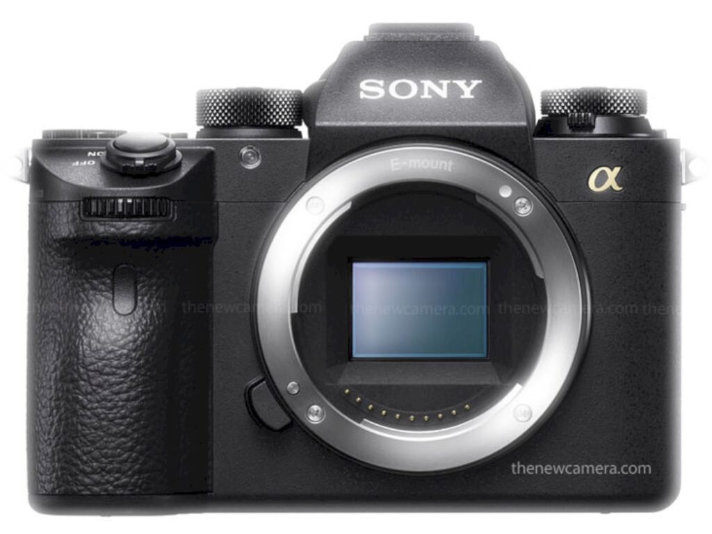    Фото: thenewcamera