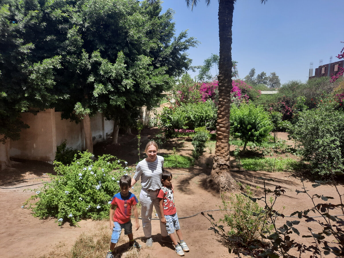 Мы где-то на самом севере Африки в египетской деревне. 