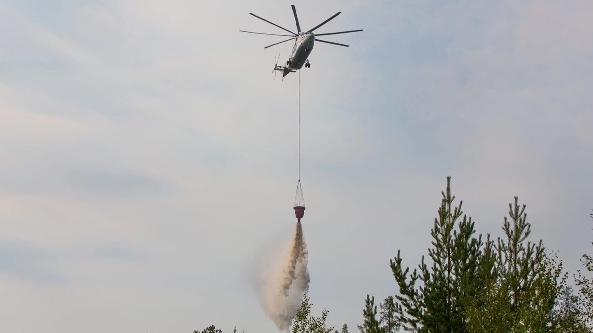    В Югре потушили крупный лесной пожар