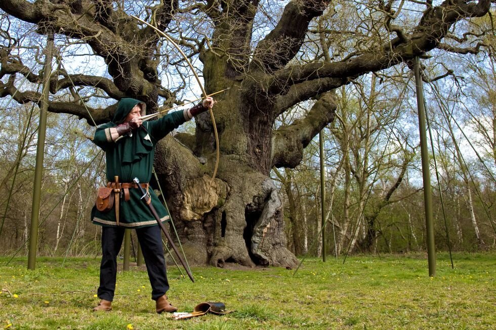 Sherwood forest. Шервудский лес Робин Гуд. Шервудский лес Ноттингемшир. Робин Гуд в Шервудском лесу. Шервудский лес - Robin Hood Festival.