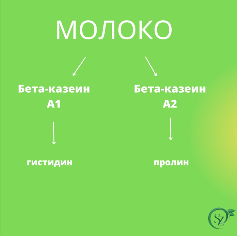 Проект на тему когда молоко опасно для здоровья 9 класс по биологии