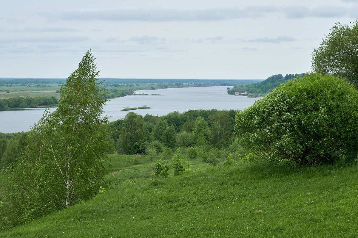 Музей-заповедник С.А. Есенина в Константиново, Рязанская область | RU  Travel | Дзен