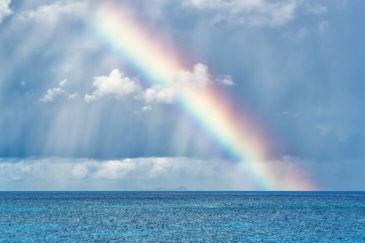 Фото: Pixabay