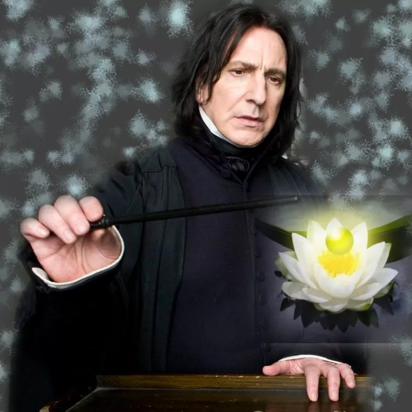 Профессор снек. Северус Снейп. Профессор Снейп. Профессор Снегг. Severus Snape