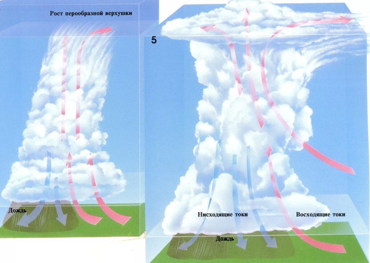 Процессы образования облаков. Строение кучево дождевого облака. Грозовые облака образование. Образование облаков в атмосфере. Конвективный поток воздуха.