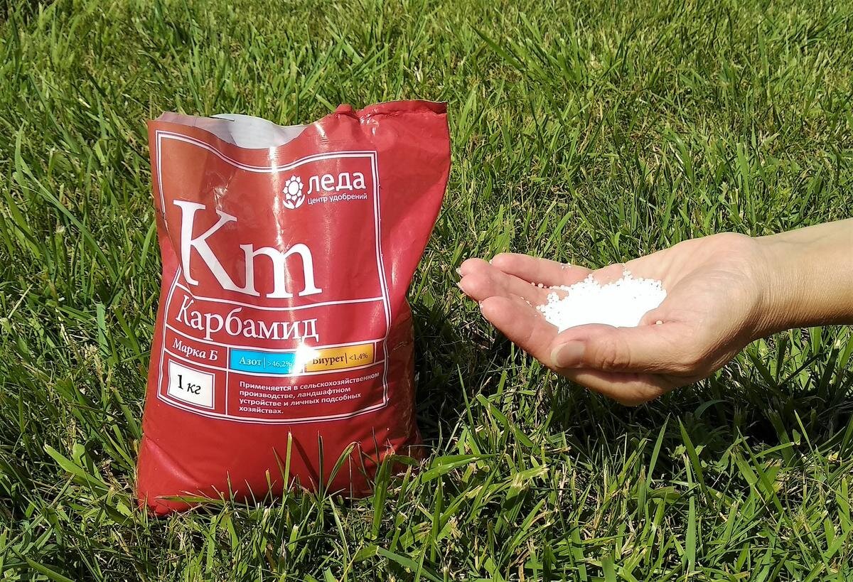 Яндекс.Картинки