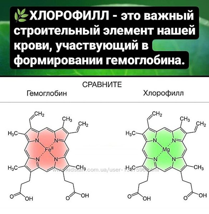 Основная образовательная программа основного общего образования 2022- 2027