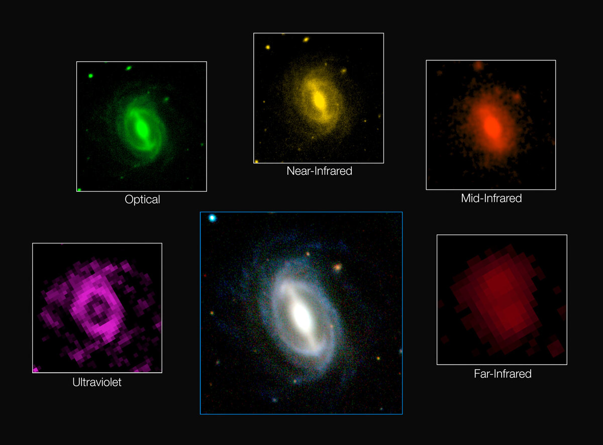 Это изображение показывает, как типичная галактика выглядит в разных диапазонах длин волн. Фото: ESO /ICRAR/GAMA 