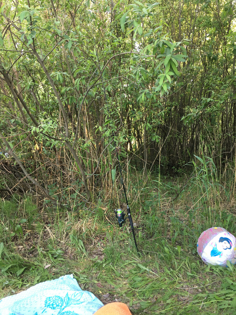 Спиннинг готов к бою