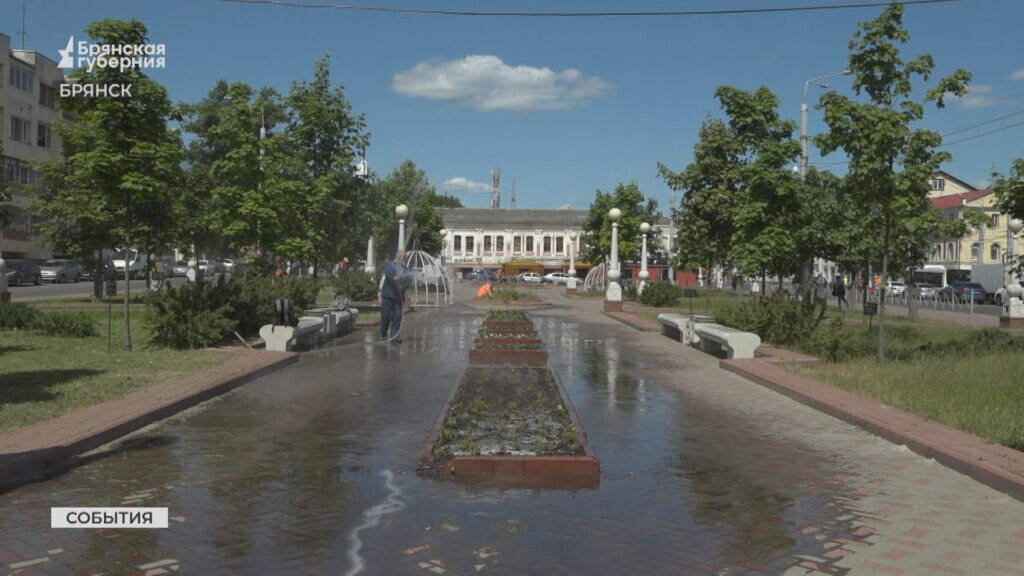 Где в брянске растет
