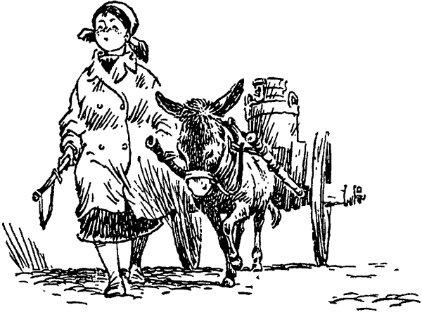 Рисунки Е.МИГУНОВА