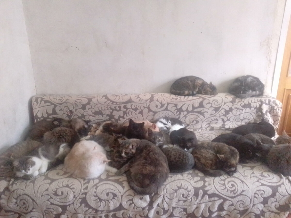 личное фото