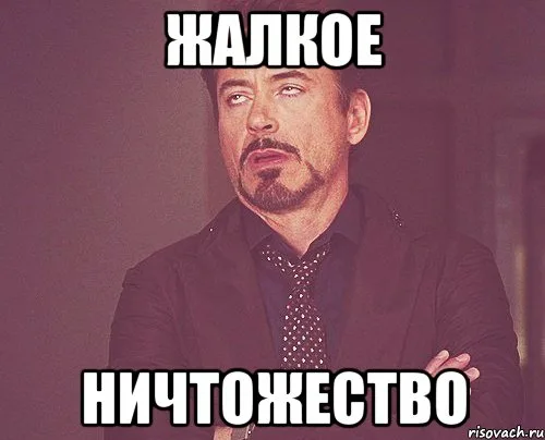 Мем из Интернета