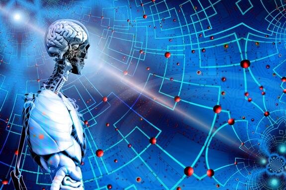    Фото: pixabay.com