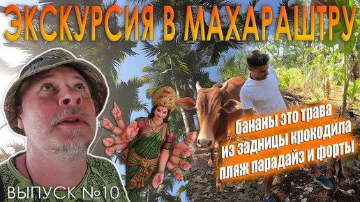 Экскурсия из Гоа в Махараштру. Бананы это трава! Выпуск №10. Сезон 2023. Индия.