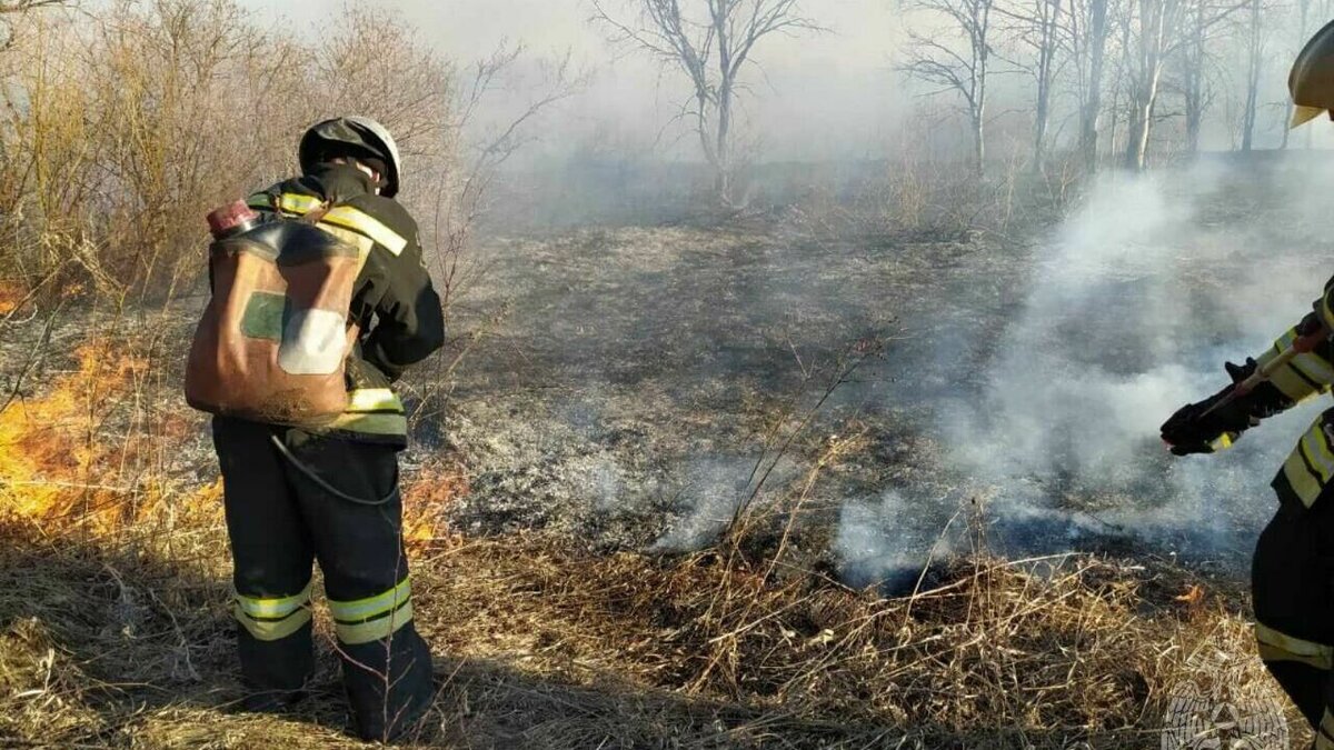     Где в последние дни удмуртским огнеборцам пришлось тушить ландшафтные пожары? Как пожилую ижевчанку придавило упавшим деревом? И сколько раковых опухолей ежедневно диагностируют врачи региона? Udm-Info подводит итоги пятницы, 14 апреля.