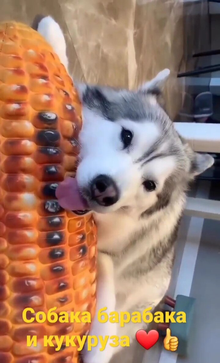 Фото автора 2023