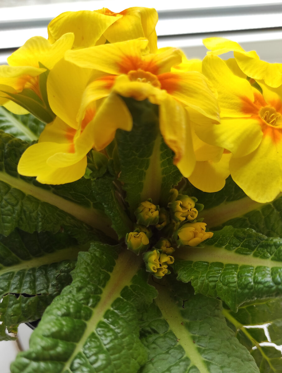 Ставьте лайк и подписывайтесь на мой канал:)