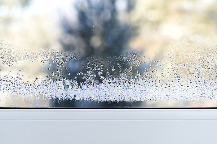 Фотография из открытого источника.