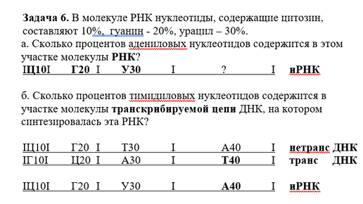 Задачи на днк и ирнк. Задачи по биологии на ДНК И РНК. Задачи по биологии на ДНК И РНК С решением. Задачи по биологии на ДНК. Задачи на ДНК.