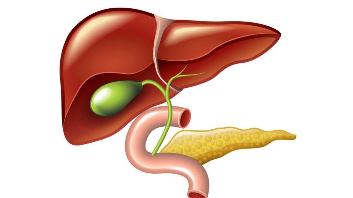 Диета Стол номер 5, тип ЖЛ/ Примерное меню на неделю/ Дискинезия ...