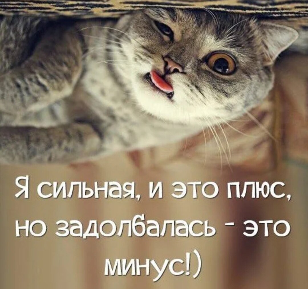 Фото взято из открытых источников 