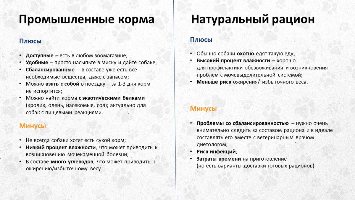 ВИДЕО! А чем вы кормите свою собаку? | Фонд помощи животным «РЭЙ» | Дзен