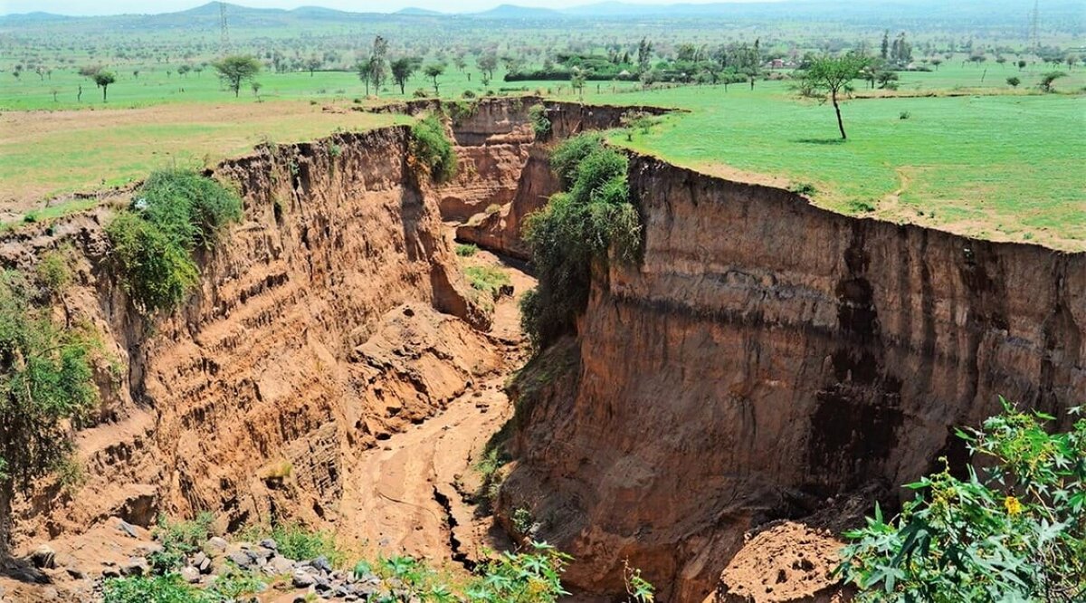 Источник: https://shorturl.at/vGMZ6