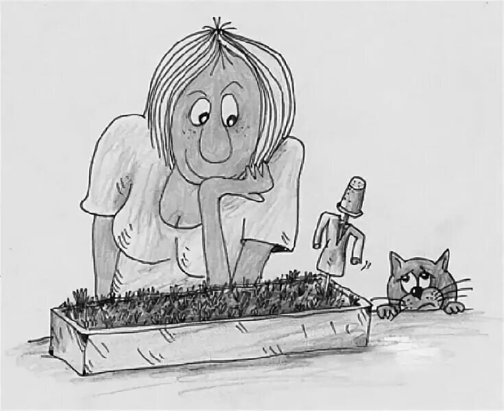 Картинка из открытого доступа