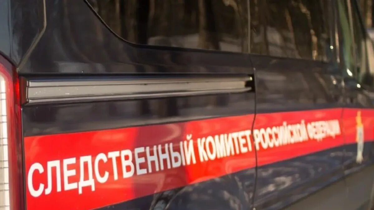 Фото: СК РФ