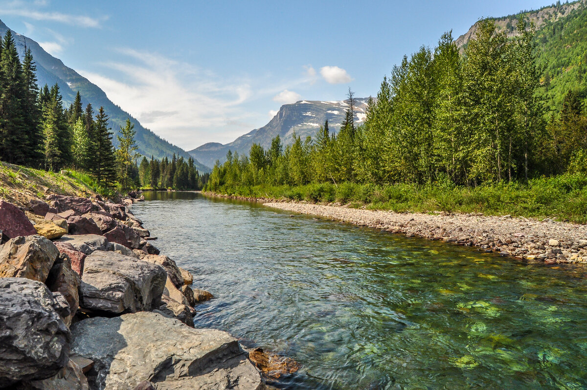   Фото: istockphoto/Matt Anderson