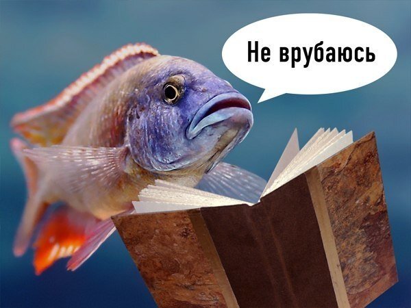 Иллюстрация найдена на Яндекс.Картинках