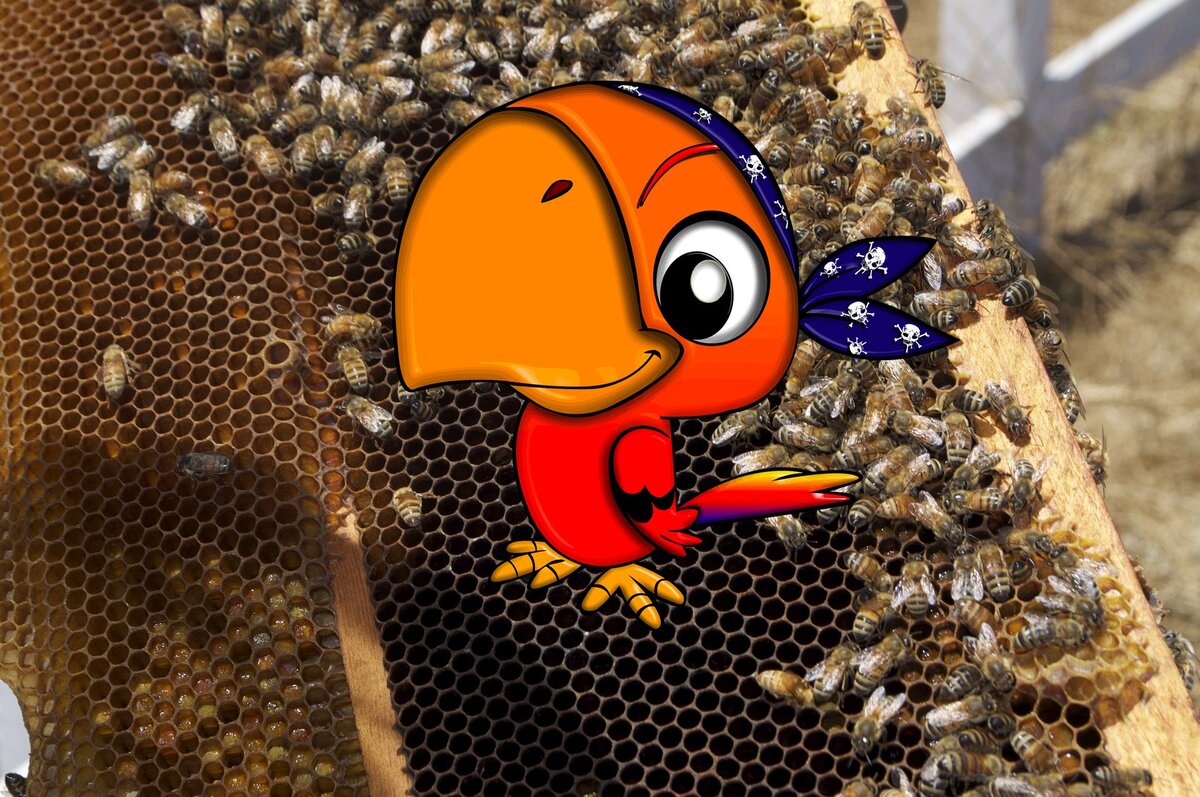 Как скормить пчёлам старый мёд в сотах