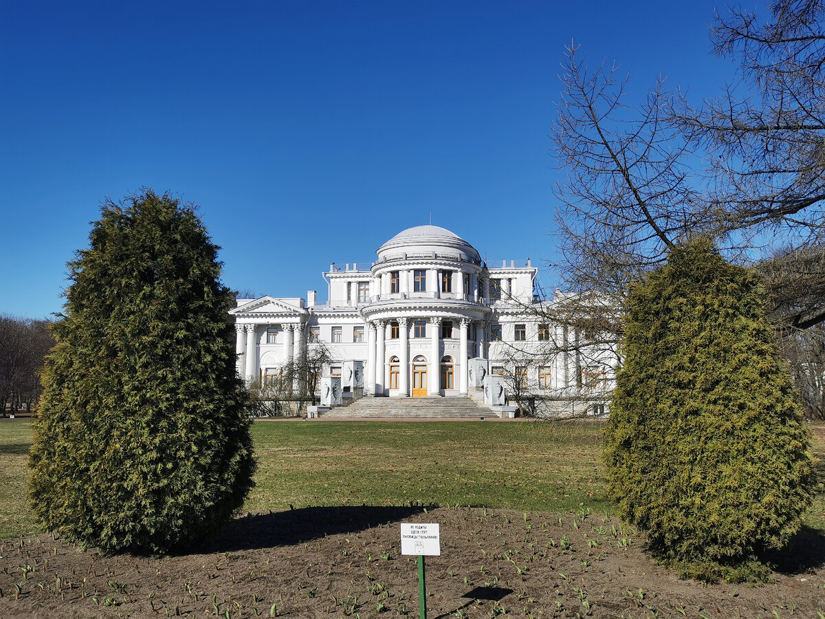 Тюльпаны уже не спят, а активно просыпаются (22.04.2023)