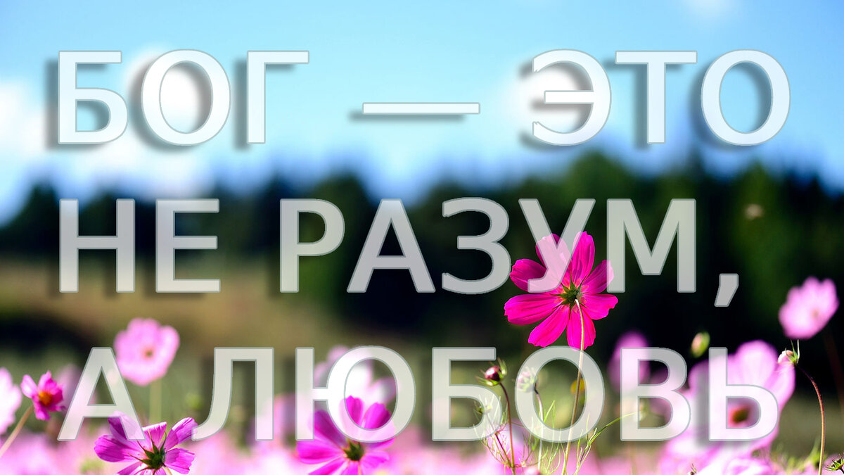 Изображение из интернета