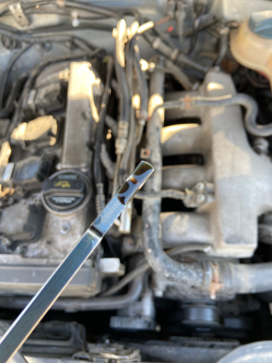 Щуп масла, уровень масла чуть меньше середины (нормы)