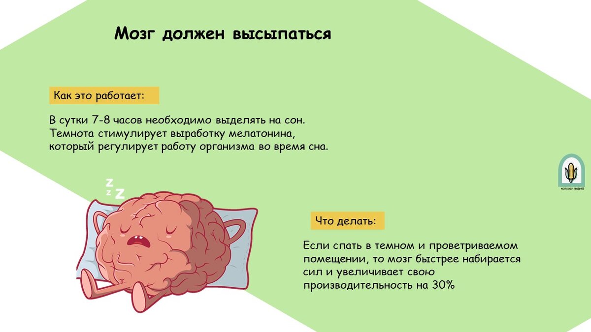 5 простых советов как улучшить работу мозга | Колхознику виднее 😎 | Дзен