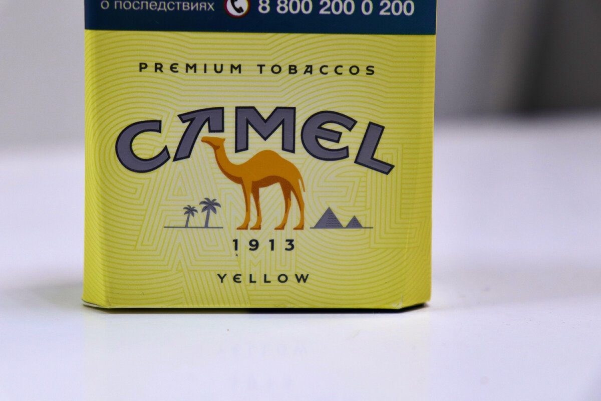 CAMEL COMPACT SPECIAL купить СПб